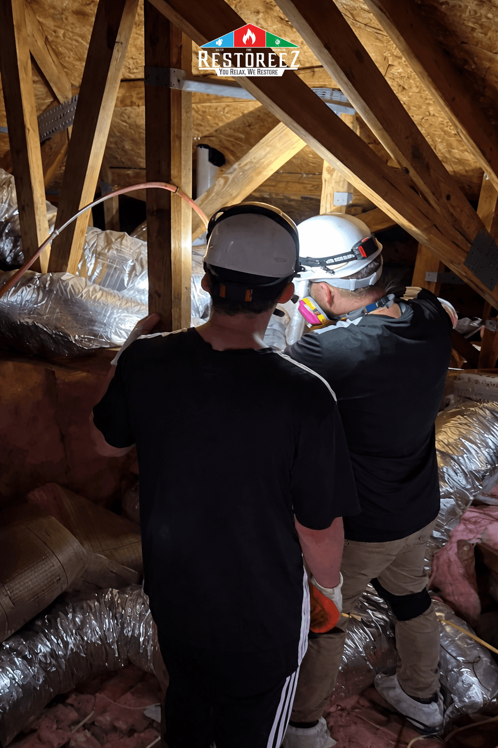 Guide to Moisture in Your Attic: Prevent Mold and Structural Damage in Tarpon Springs, FL