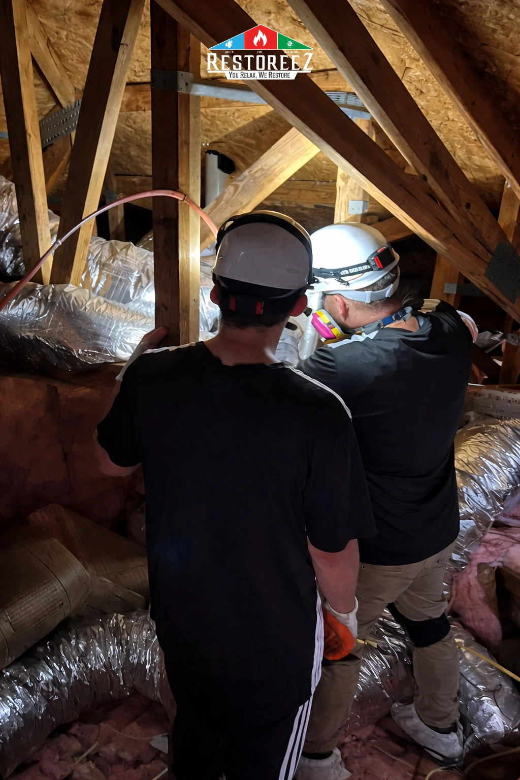 Guide to Moisture in Your Attic: Prevent Mold and Structural Damage in Tarpon Springs, FL