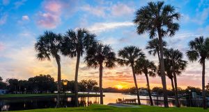 Mold Removal Tarpon Springs
