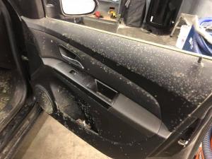 Car Interior Water Damage Repair