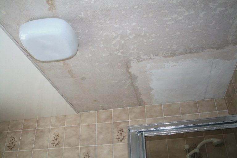How To Tell If Water Damage Is New Or Old