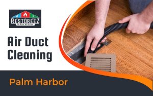 Air Duct Cleaning Services In Palm Harbor