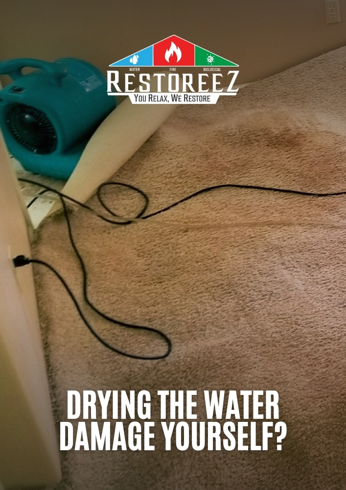 Can You Dry The Water Damage Yourself