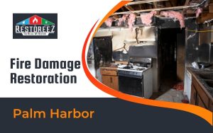 Fire Damage Restoration Services In Palm Harbor