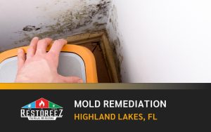 Mold Remediation Services In Highland Lakes, Fl
