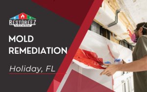 Mold Remediation Services In Holiday, Fl