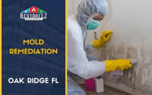Mold Remediation Services In Oak Ridge Fl