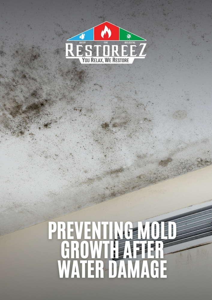Preventing Mold Growth After Water Damage