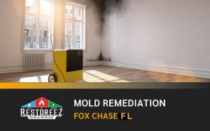 Quality Mold Remediation Services In Fox Chase Dl