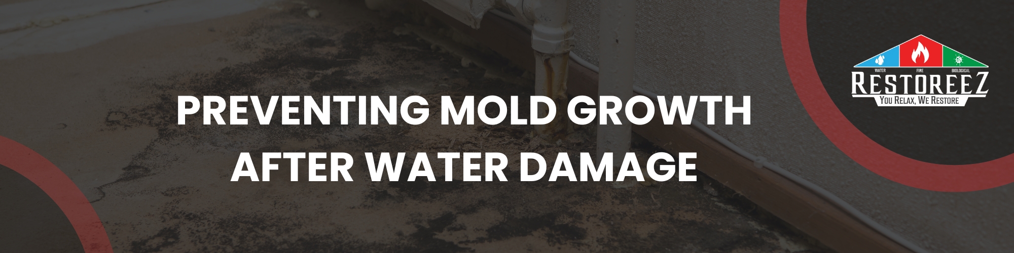 What To Spray To Prevent Mold After Water Damage
