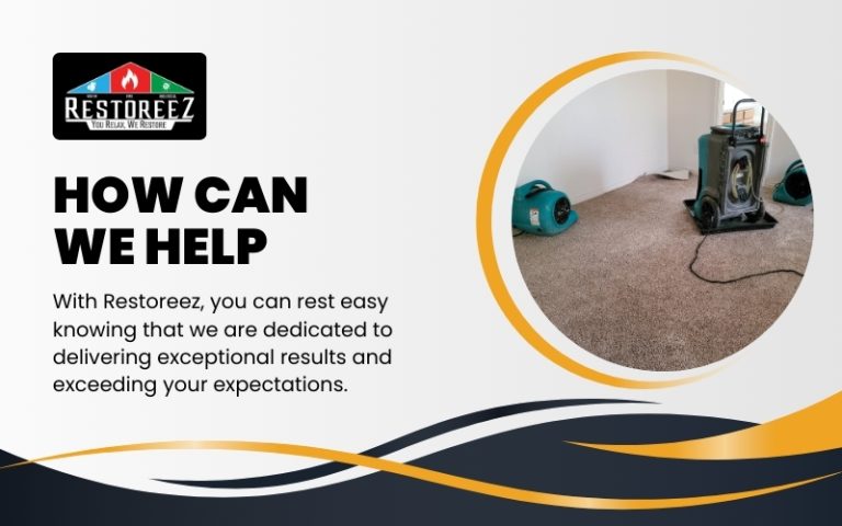 Water Damage Restoration Palm Harbor, Fl