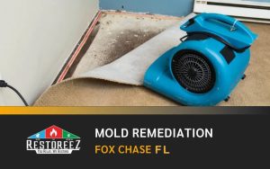 Water Damage Restoration Services In Fox Chase Dl