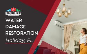 Water Damage Restoration Services In Holiday, Fl