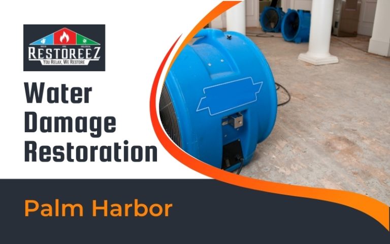 Water Damage Restoration Services In Palm Harbor
