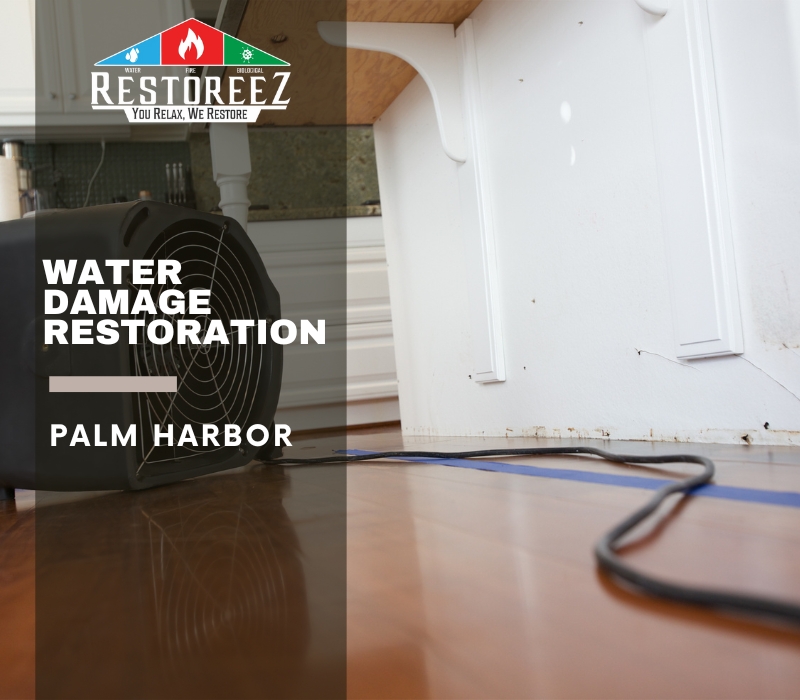 Water Damage Restoration In Oak Ridge Palm Harbor