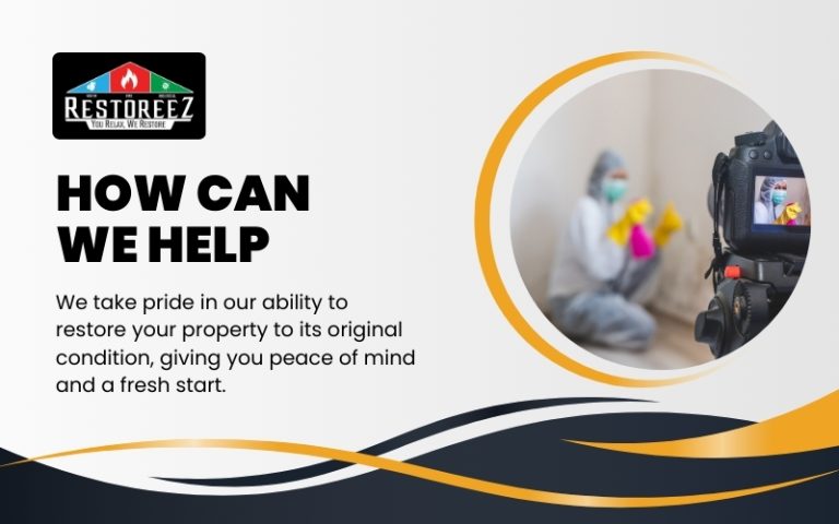 Mold Remediation Highland Lakes, Fl