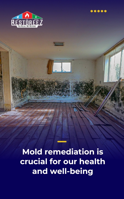 Mold Removal Highland Lakes, Fl