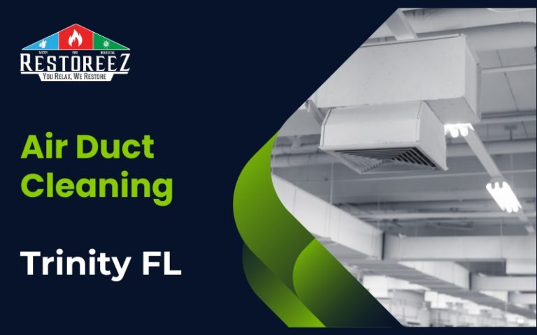 Air Duct Cleaning Experts In Trinity Fl