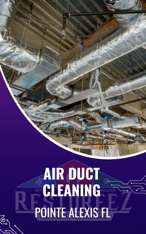 Air Duct Cleaning Pointe Alexis Fl