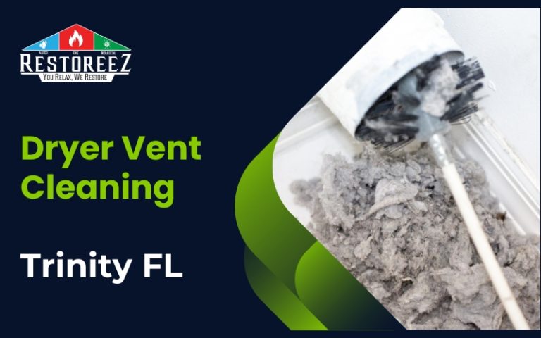 Dryer Vent Cleaning Experts In Trinity Fl