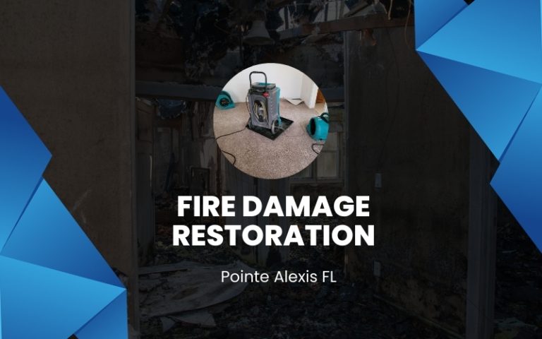Fire Damage Restoration Experts In Pointe Alexis Fl